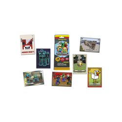 Pochette cartes Minecraft