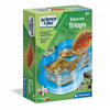 Triops Aquarium