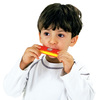 Harmonica 12 notes