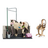 Box de lavage pour chevaux