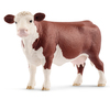 Vache Hereford