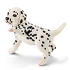 Chiot dalmatien