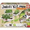 Jardi'kit fraises menthe et basilic