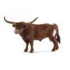 Taureau Texas Longhorn