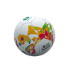 Ballon Euro 2020 T5