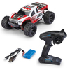 Voiture Revell Control X-treme cross storm 