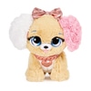 Present Pet Surprise - Chiot Fancy Pups