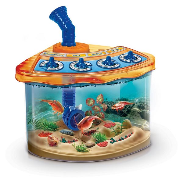 Kit Allevamento Triops King - Uova Per Acquario Preistorico, Fatto In Germania - Foto 2