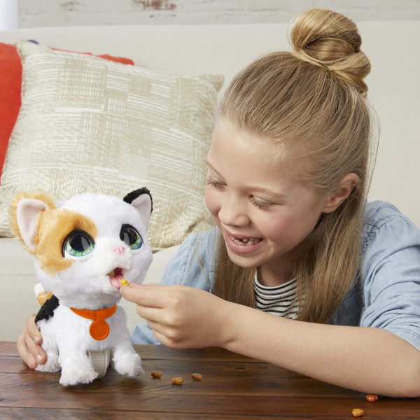 Peluche Interactive Chaton Qui Fait Popo Furreal Friends Hasbro King Jouet Peluches Interactives Hasbro Poupees Peluches