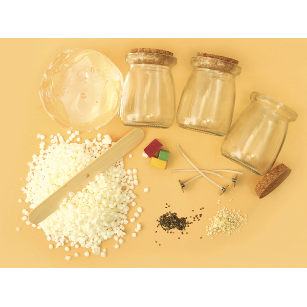 Kit DIY Mes bougies fruitées