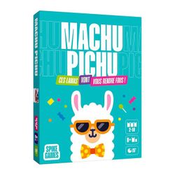 Machu Pichu - Jeu d'ambiance
