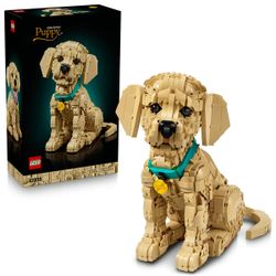 11384 - LEGO® Icons - Le chiot Golden Retriever