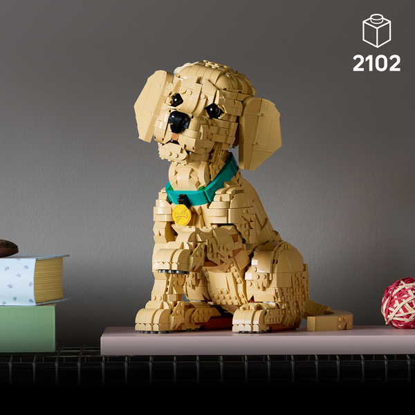 11384 - LEGO® Icons - Le chiot Golden Retriever