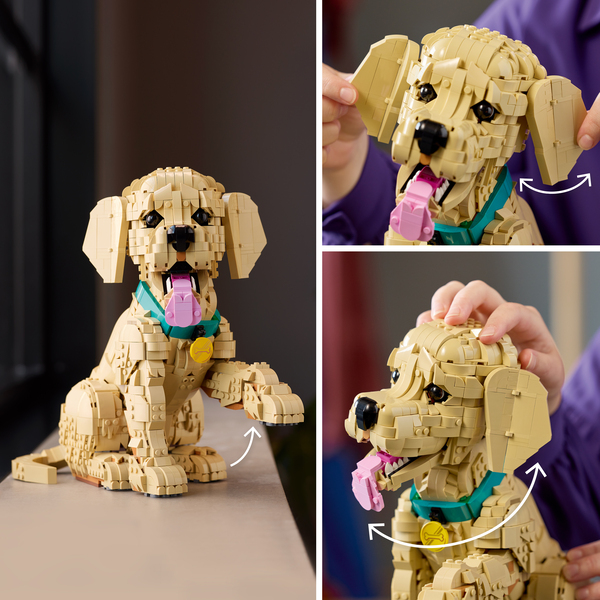 11384 - LEGO® Icons - Le chiot Golden Retriever