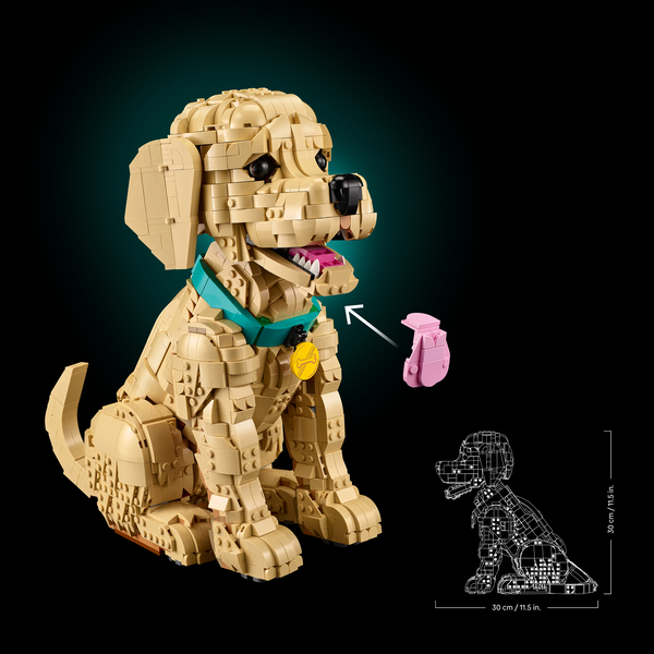 11384 - LEGO® Icons - Le chiot Golden Retriever