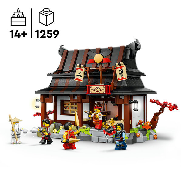 71858 - LEGO® Ninjago - 15e anniversaire - La forge des quatre armes