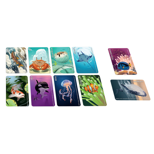 Similo : Animaux Aquatiques - Jeu de communication