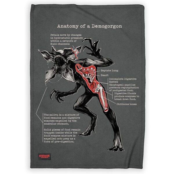 Kit pour chiller avec gourde, plaid, figurine et stickers - Stranger Things