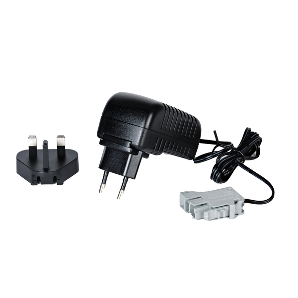 Chargeur de batterie Lithium 24 Volts Peg Perego