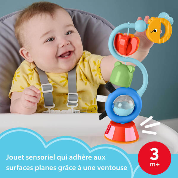 Hochet multi activités Fisher Price