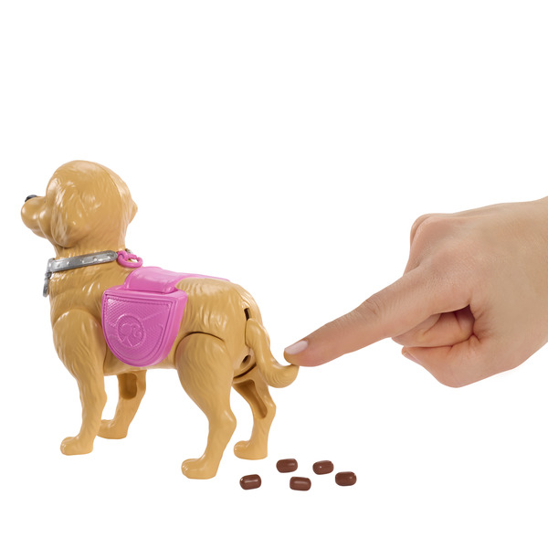 Poupée Barbie - Coffret la balade du chien