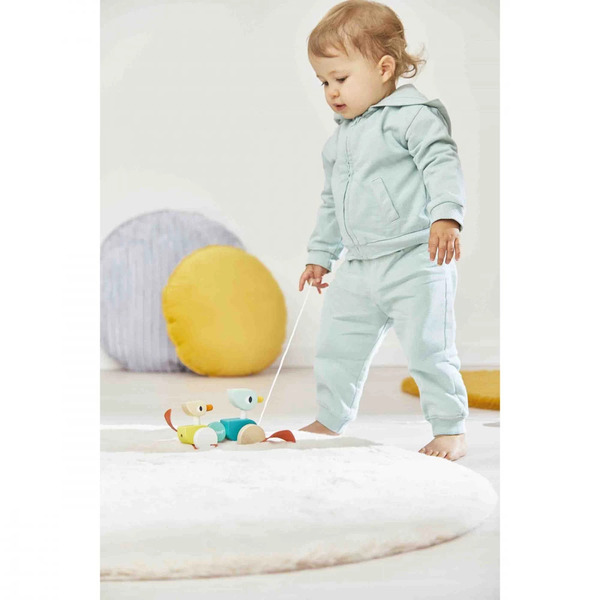 Canards family à promener Zigolos