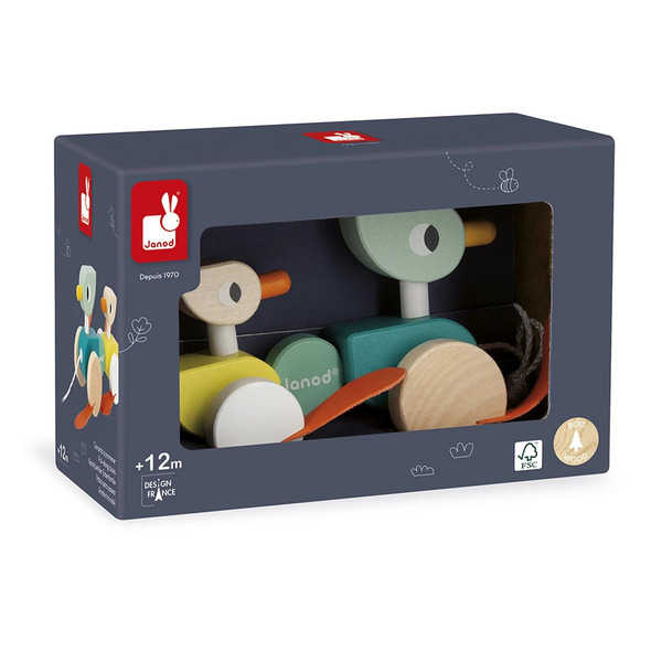 Canards family à promener Zigolos