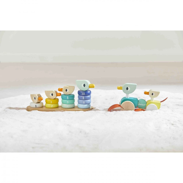 Canards family à promener Zigolos