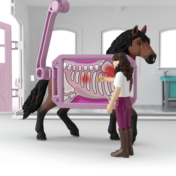 Clinique vétérinaire pour chevaux - Horse Club