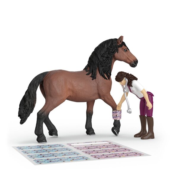 Clinique vétérinaire pour chevaux - Horse Club