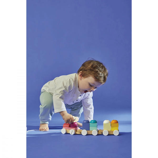 Petit train mouton Zigolos