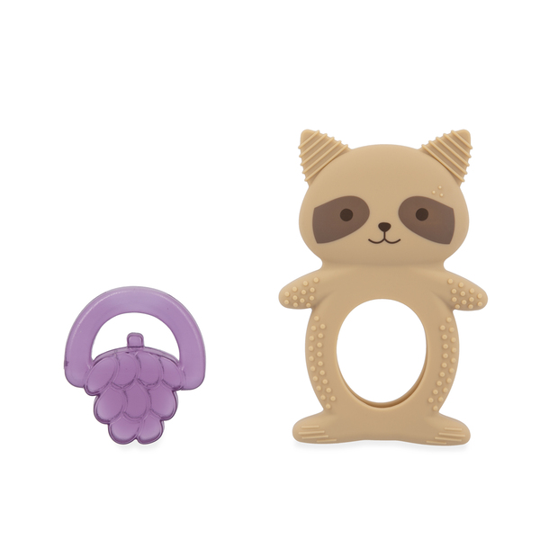 Anneau dentition et réfrigérant - raton laveur