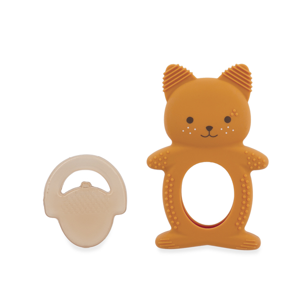 Anneau dentition et réfrigérant -  écureuil