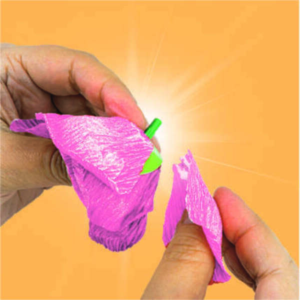 Crée tes fleurs - Anémone