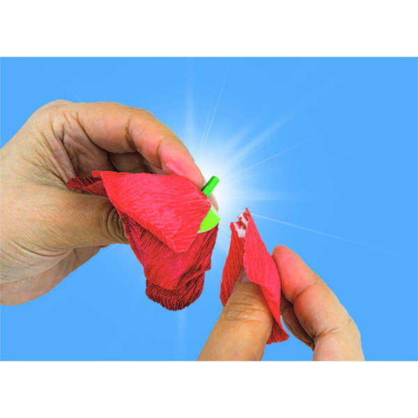 Crée tes fleurs - Coquelicot