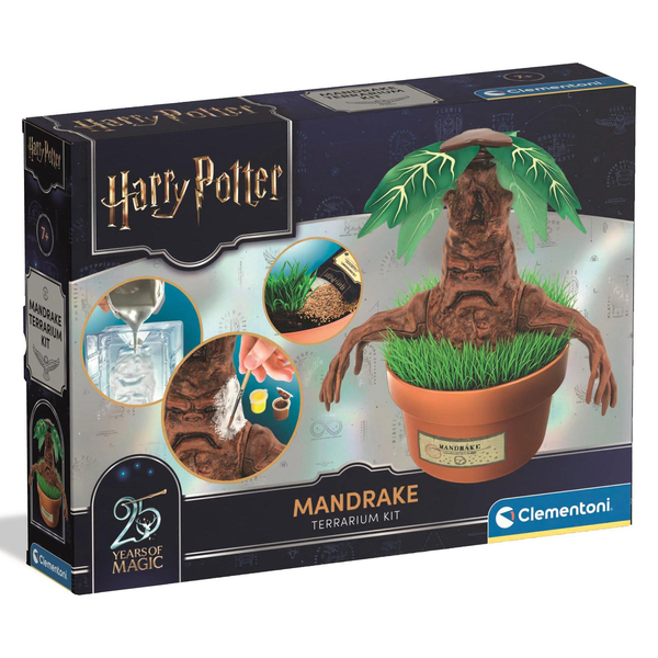 Harry Potter Mandragore
