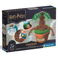 Harry Potter Mandragore