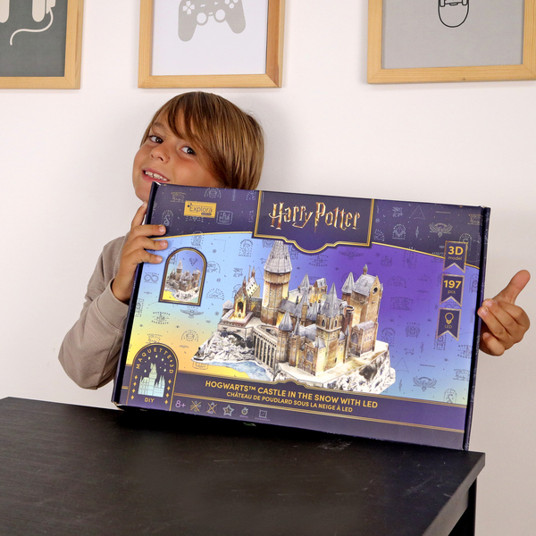 Puzzle 3D Harry Potter Le Château de Poudlard (197 pièces)