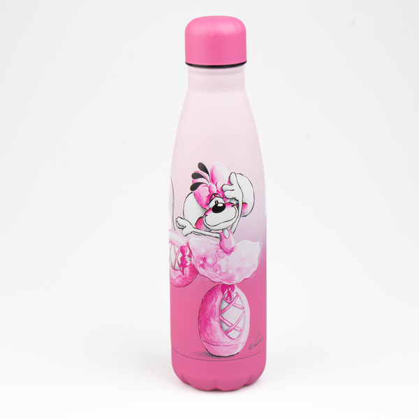 Gourde en acier inoxydable 500ml Diddl
