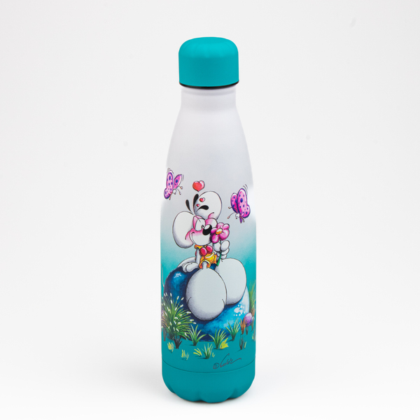 Gourde en acier inoxydable 500ml Diddl