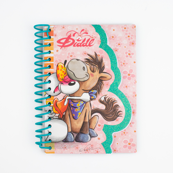Carnet à spirale A6 Diddl