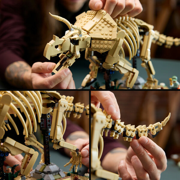 77985 - LEGO® Jurassic World - Les fossiles de dinosaure : le tricératops