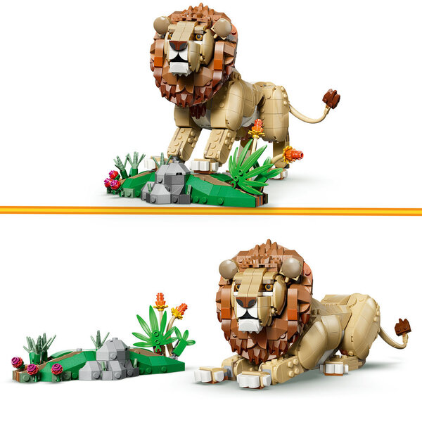 31386 - LEGO® Creator - Animaux sauvages : le lion majestueux