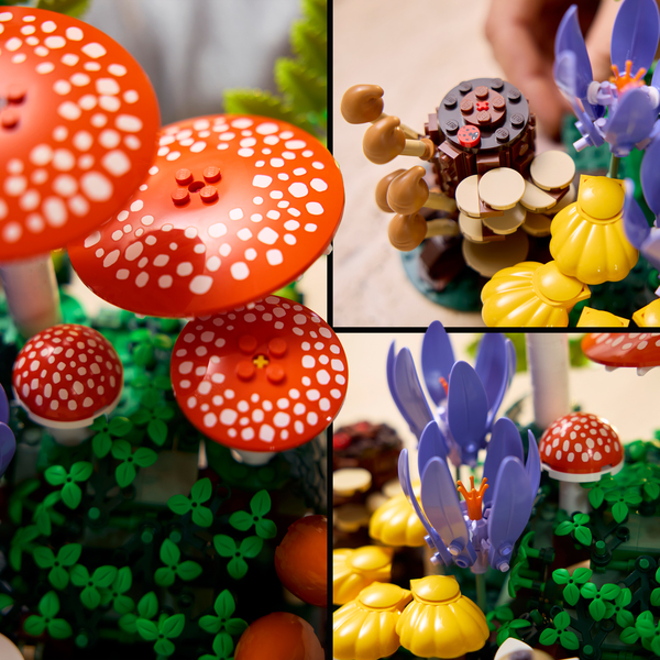 11505 - LEGO® Botanique - Les champignons des bois
