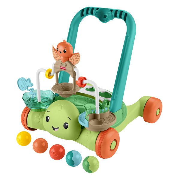 Trotteur Tortue interactive