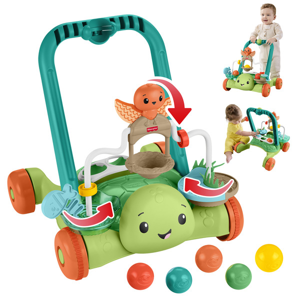 Trotteur Tortue interactive