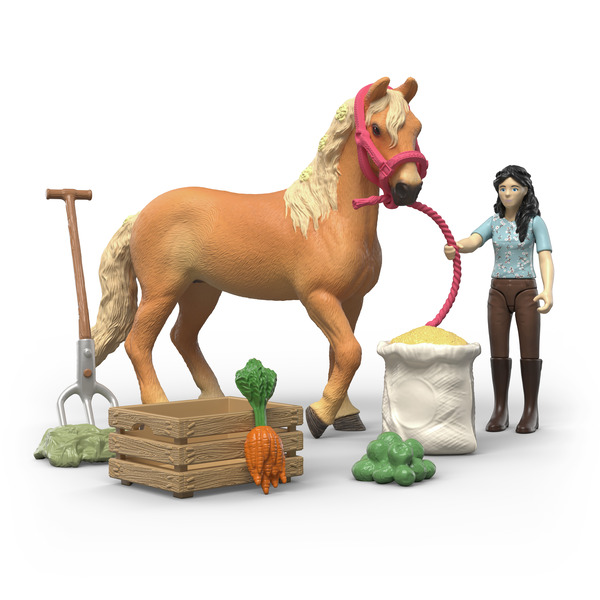 Kit de soins Emily - Horse Club