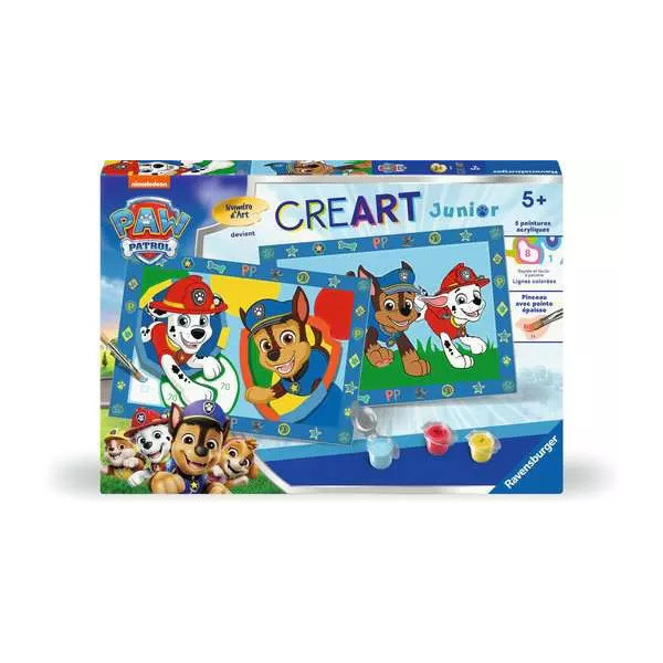 N° d'Art collection junior Licence