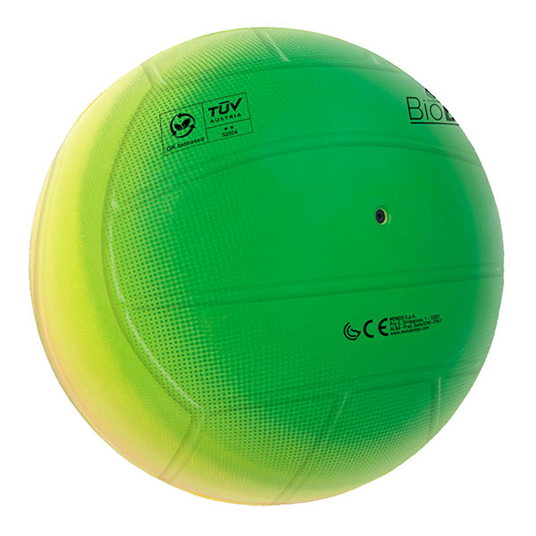 Ballon volley rainbow