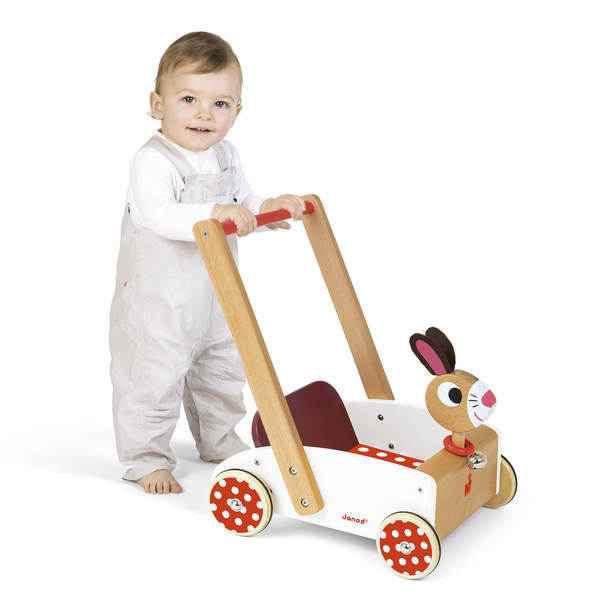 Chariot Crazy Rabbit